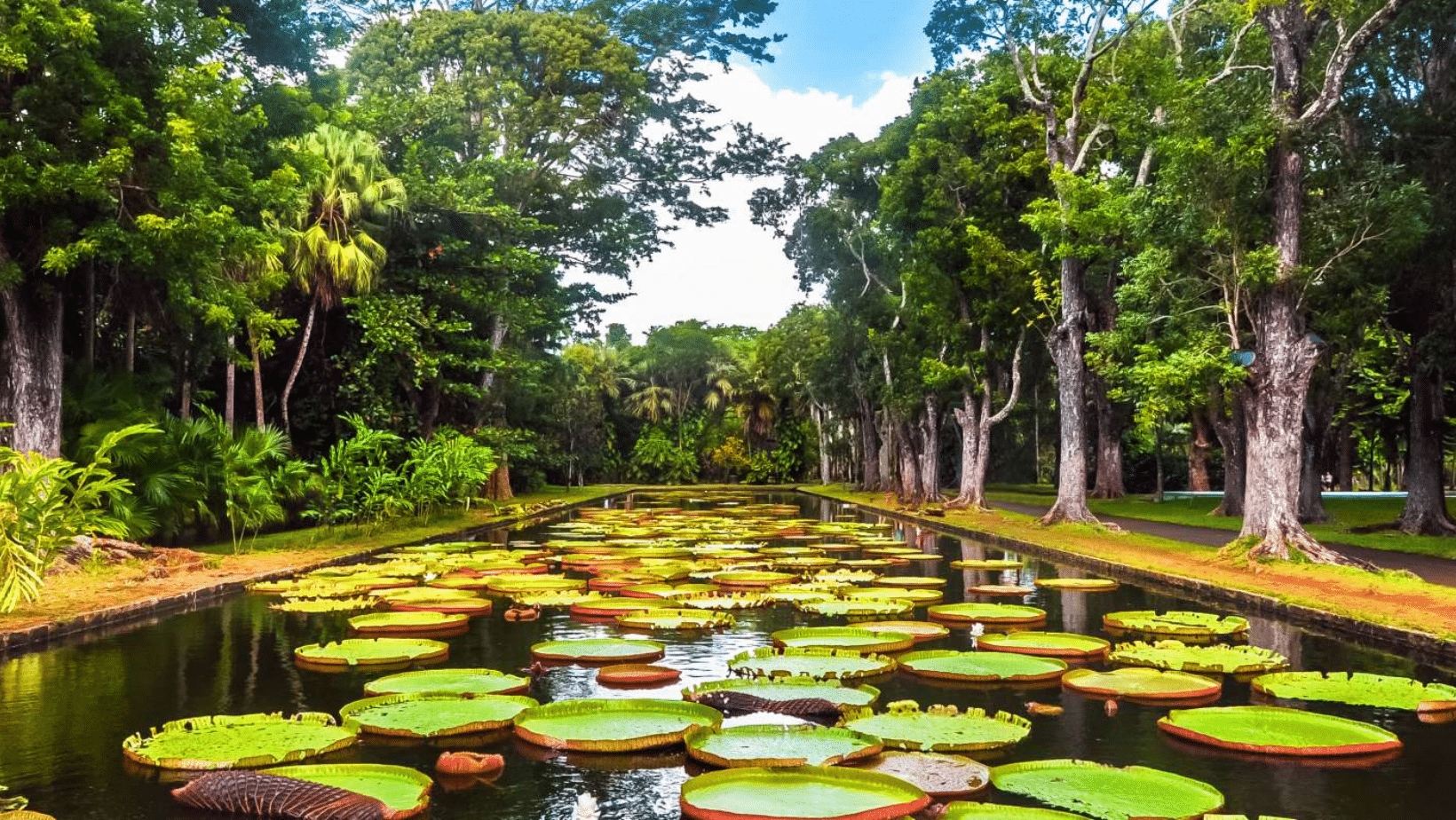Exploration at Mauritius - Susie Freeman Travel