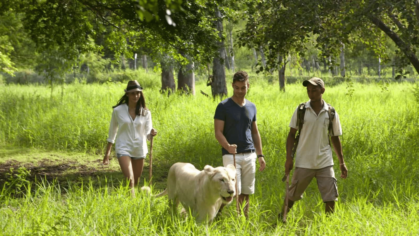 Exploration at Mauritius - Susie Freeman Travel