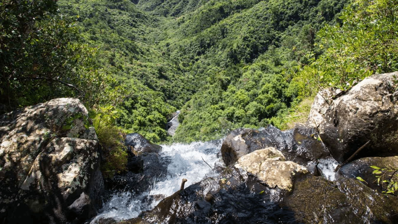 Exploration at Mauritius - Susie Freeman Travel