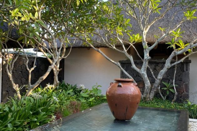 A healthy holiday in Mauritius - Susie Freeman Travel