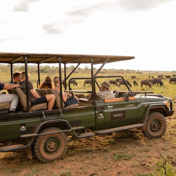 Makweti Safari Lodge Game Drive